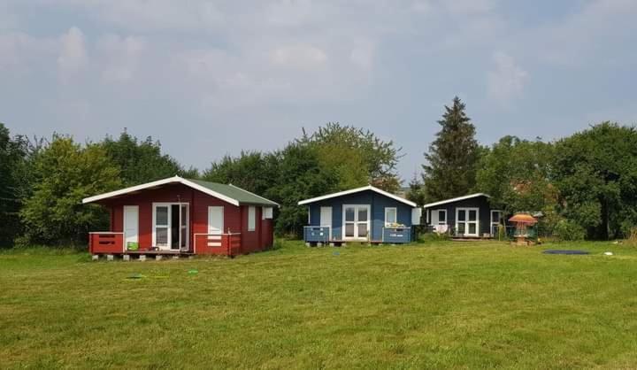 Kiszkowianka Domki Skrzeszewo  Kültér fotó