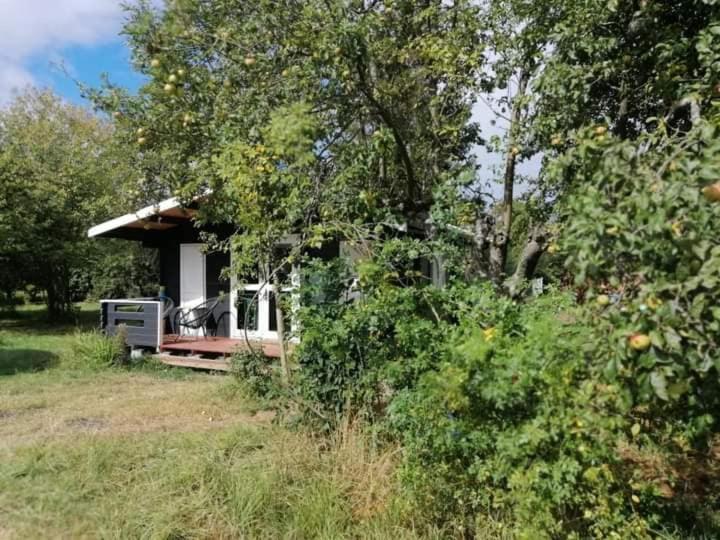 Kiszkowianka Domki Skrzeszewo  Kültér fotó